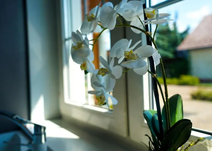 Astrids Seehaus 別荘 ゼンフテンベルク