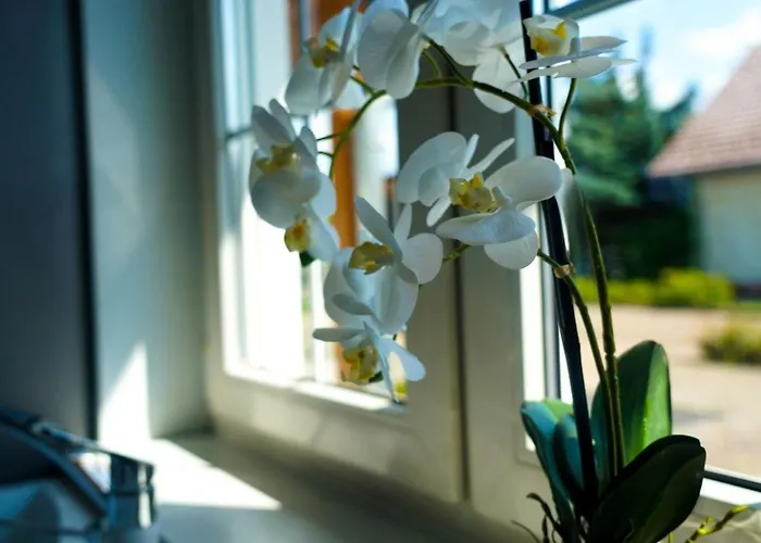 Astrids Seehaus ゼンフテンベルク